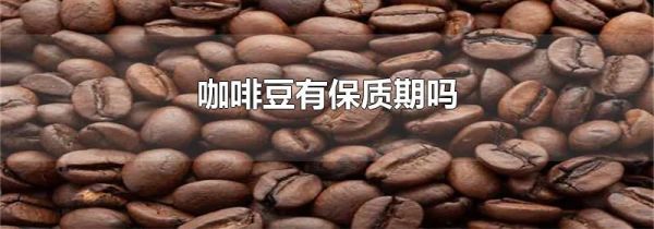 咖啡豆有保质期吗