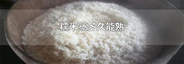 糯米蒸多久能熟