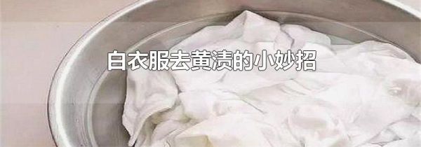 白衣服去黄渍的小妙招