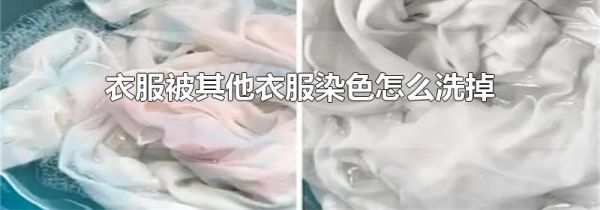 衣服被其他衣服染色怎么洗掉妙招