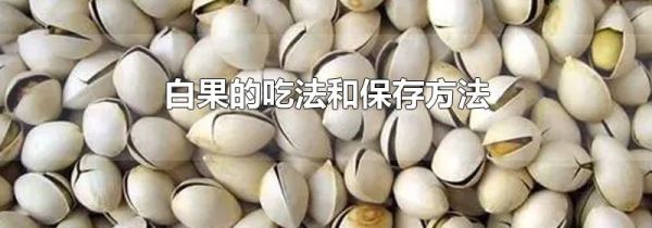白果的吃法和保存方法
