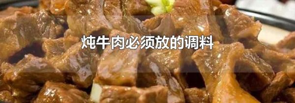 炖牛肉必须放的调料