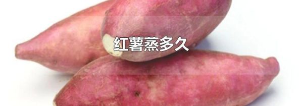 红薯蒸多久