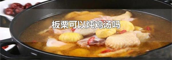 板栗可以炖鸡汤吗