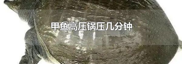 甲鱼高压锅压几分钟