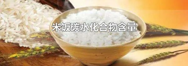米饭碳水化合物含量