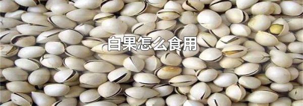 白果怎么食用
