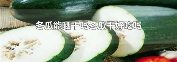 冬瓜能晒干吗冬瓜干好吃吗