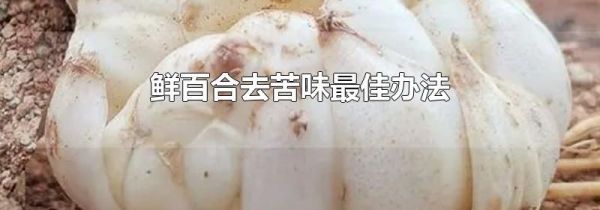 鲜百合去苦味最佳办法