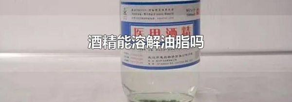 酒精能溶解油脂吗