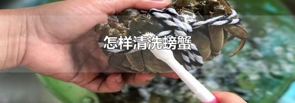 怎样清洗螃蟹