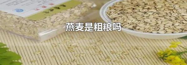 燕麦是粗粮吗