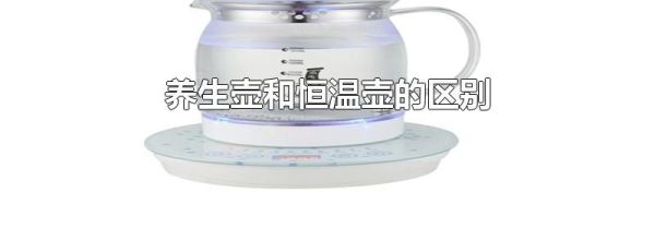养生壶和恒温壶的区别