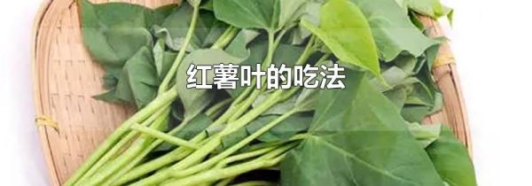 红薯叶的吃法