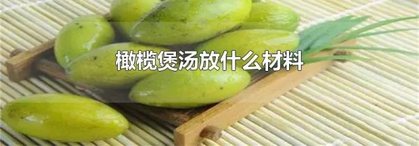 橄榄煲汤放什么材料