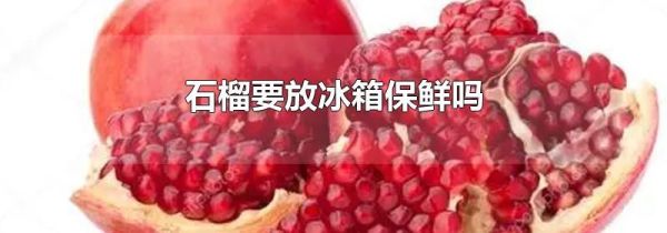石榴要放冰箱保鲜吗