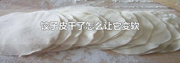 饺子皮干了怎么让它变软
