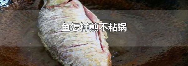 鱼怎样煎不粘锅