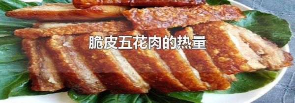 脆皮五花肉的热量