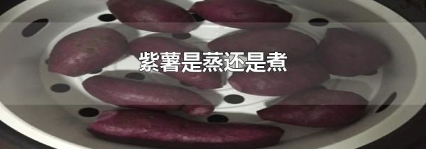 紫薯是蒸还是煮