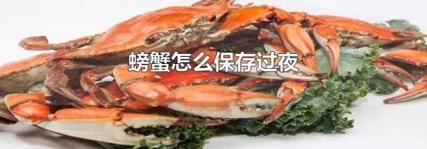 螃蟹怎么保存过夜