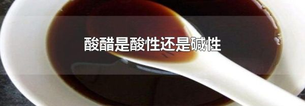 酸醋是酸性还是碱性