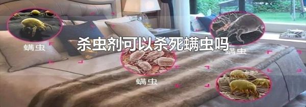 杀虫剂可以杀死螨虫吗