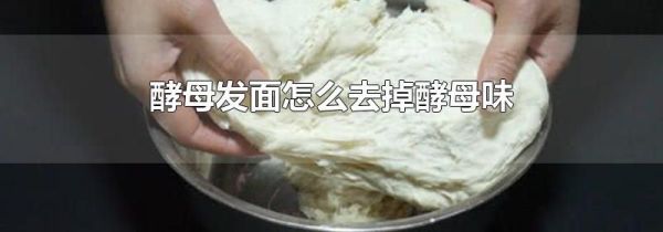 酵母发面怎么去掉酵母味