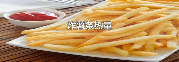 炸薯条热量