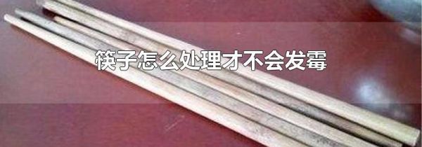 筷子怎么处理才不会发霉