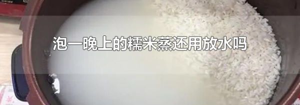 泡一晚上的糯米蒸还用放水吗