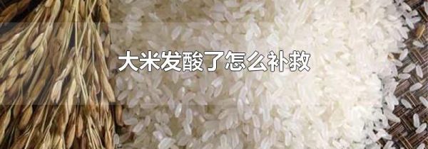 大米发酸了怎么补救