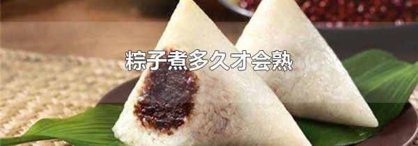 粽子煮多久才会熟