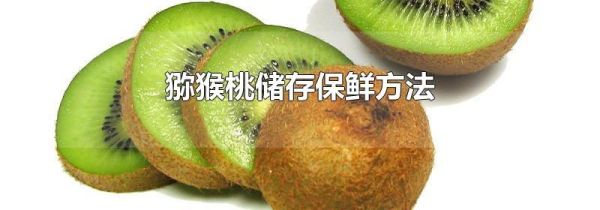 猕猴桃储存保鲜方法
