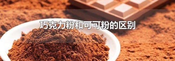 巧克力粉和可可粉的区别
