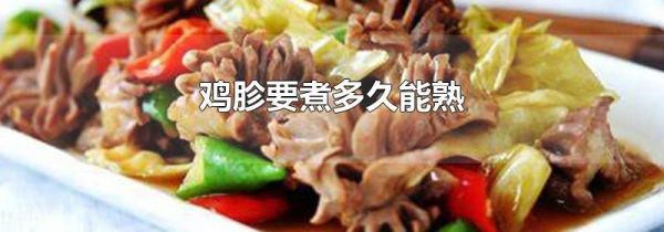 鸡胗要煮多久能熟