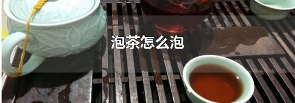 泡茶怎么泡