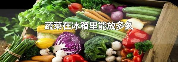 蔬菜在冰箱里能放多久