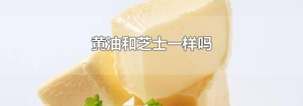 黄油和芝士一样吗