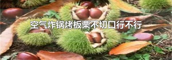 空气炸锅烤板栗不切口行不行