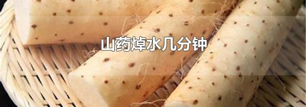 山药焯水几分钟