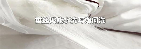 蚕丝被能水洗吗如何洗