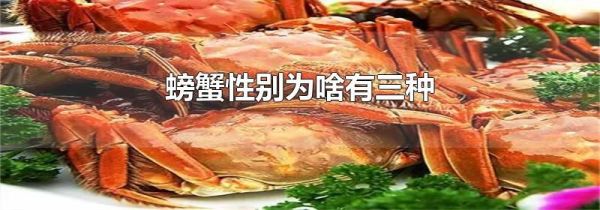螃蟹性别为啥有三种