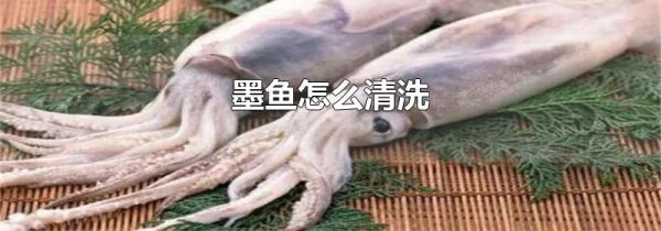 墨鱼怎么清洗