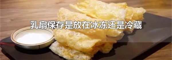 乳扇保存是放在冰冻还是冷藏