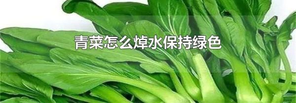 青菜怎么焯水保持绿色