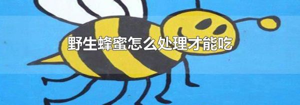 野生蜂蜜怎么处理才能吃