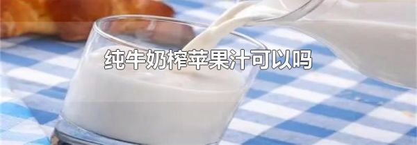 纯牛奶榨苹果汁可以吗