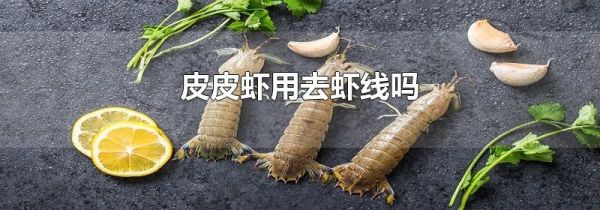 皮皮虾用去虾线吗