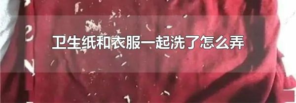 卫生纸和衣服一起洗了怎么弄干净
